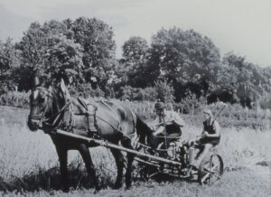 Getreideernte mit Hilfsmotor